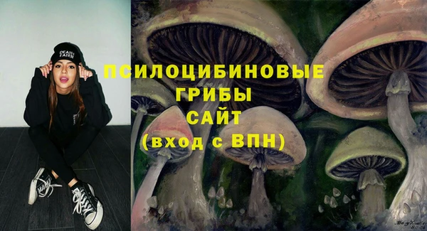 гашик Алзамай