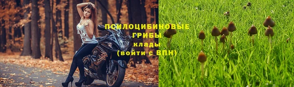 гашик Алзамай
